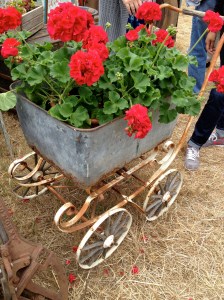cart w:geraniums