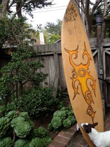 Found this cool surfboard in a yard sale in Salinas. Love it!