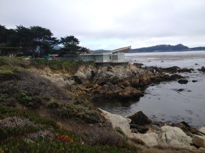 coastal/butterfly house