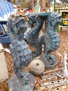 coastalblue seahorses